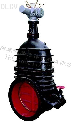 鑄鐵電動(dòng)暗杆閘閥 WDLZ941T-10 